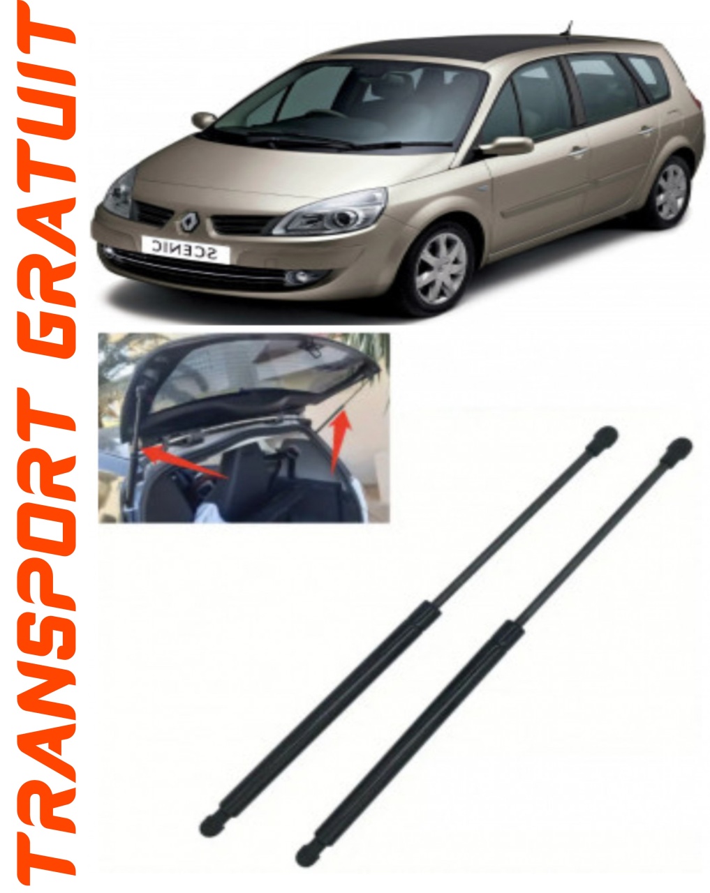 Set 2 amortizoare Haion portbagaj pentru masina Renault Scenic