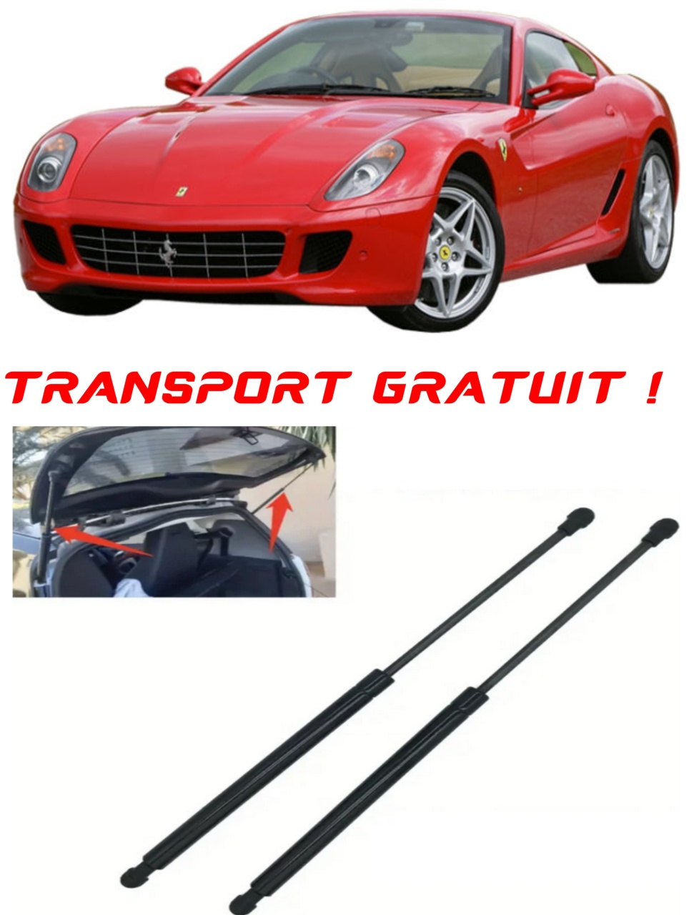 Set 2 amortizoare Haion portbagaj pentru masina FERRARI 599 GTB/GTO
