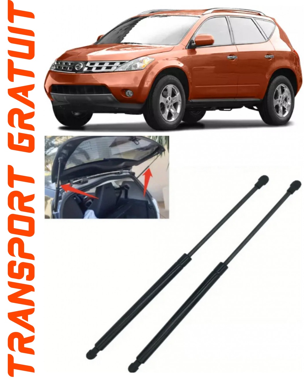 Set 2 amortizoare Haion portbagaj pentru masina Nissan Murano I