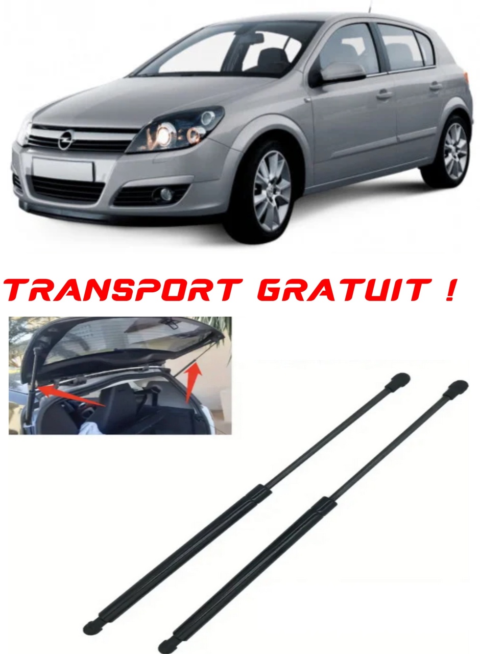 Set 2 amortizoare Haion portbagaj pentru masina Opel ASTRA H TwinTop (A04)