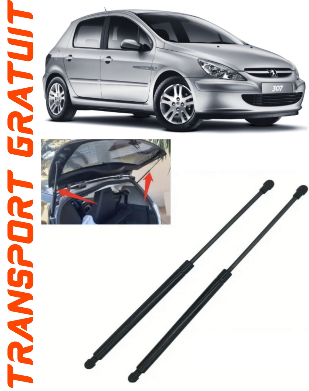 Set 2 amortizoare Haion portbagaj pentru masina Peugeot 307