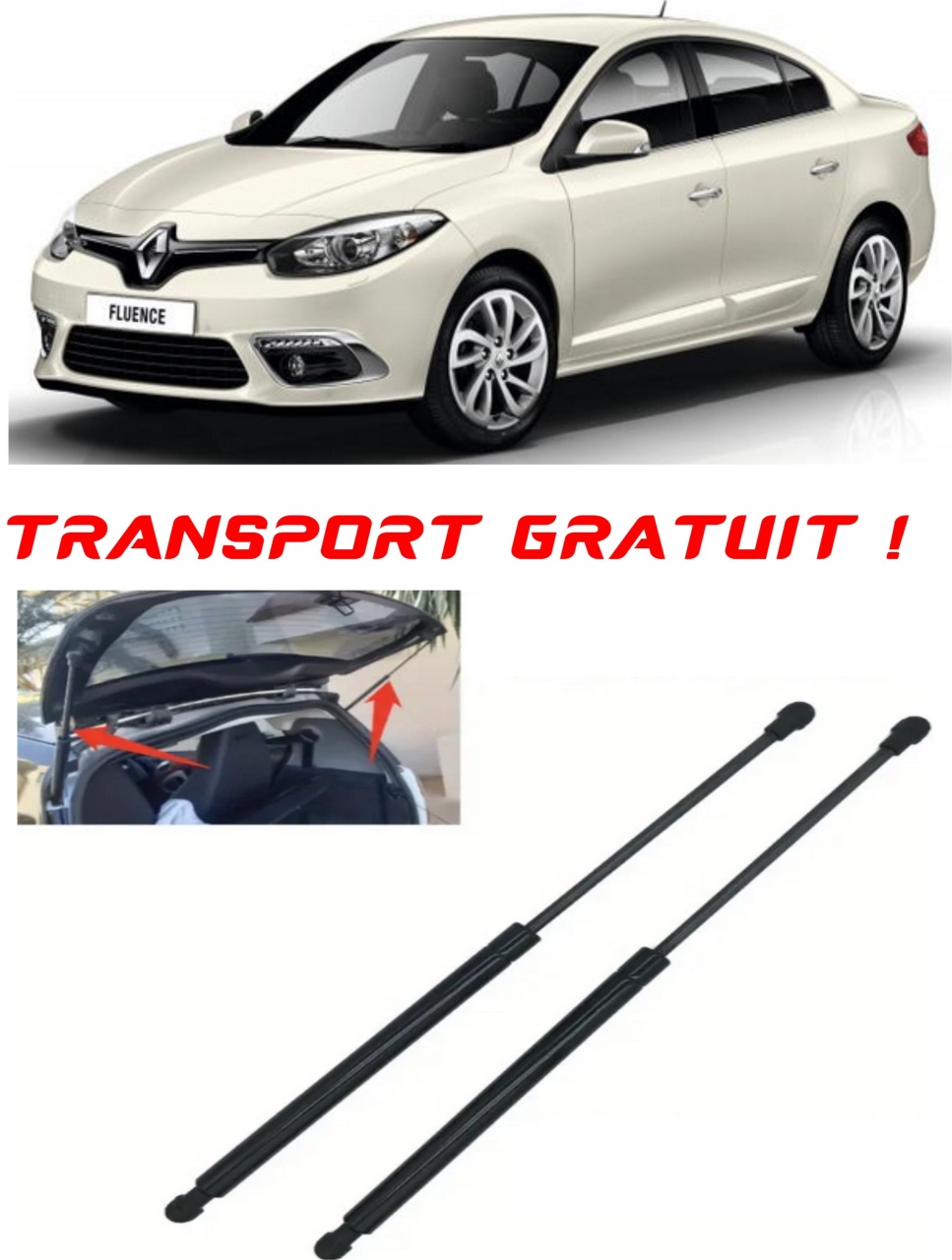 Set 2 amortizoare Haion portbagaj pentru masina Renault FLUENCE (L3_)