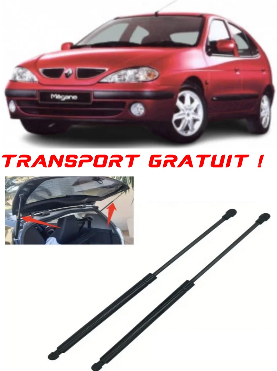 Set 2 amortizoare Haion portbagaj pentru masina Renault MEGANE I (BA0/1_)