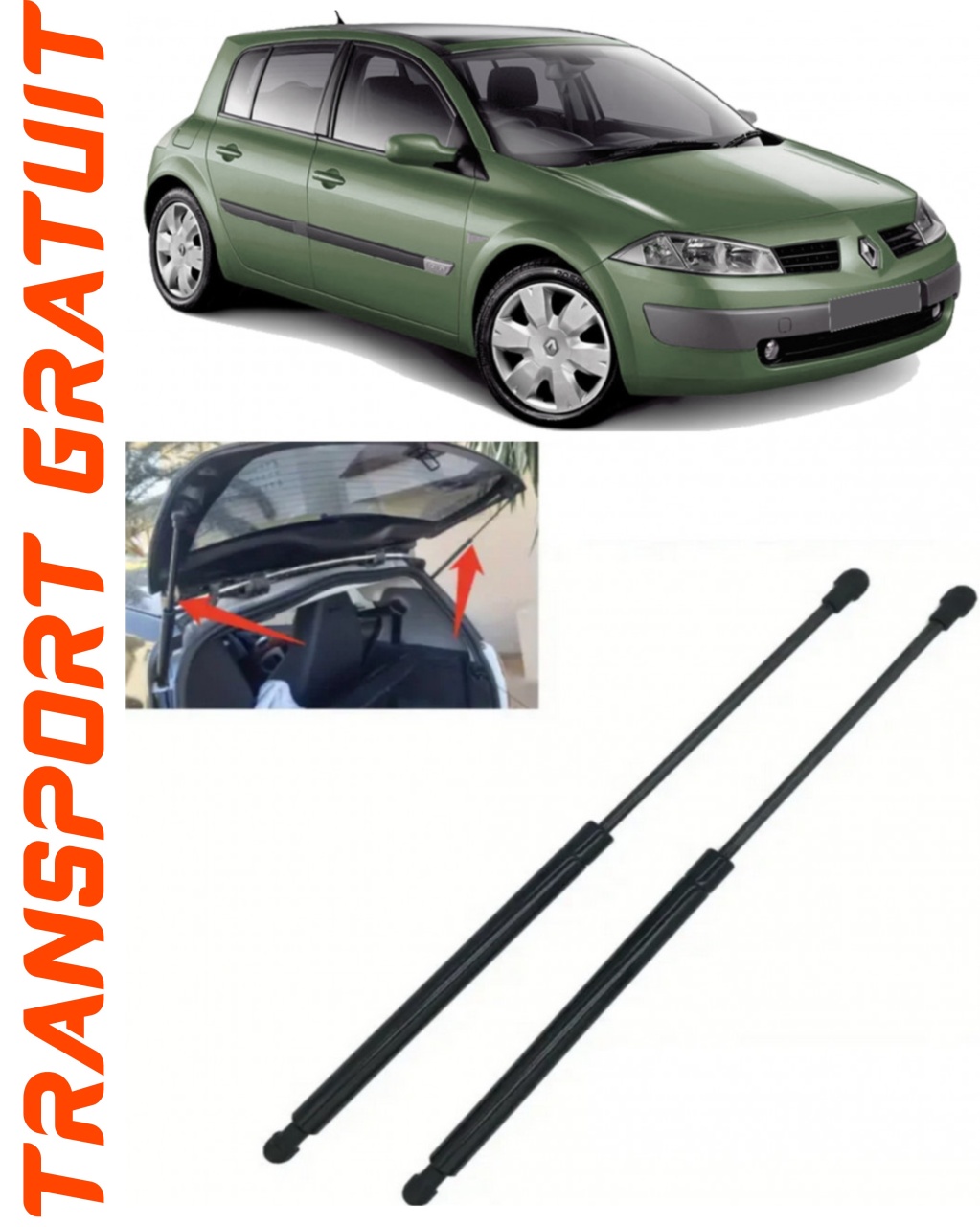 Set 2 amortizoare Haion portbagaj pentru masina Renault Megane II