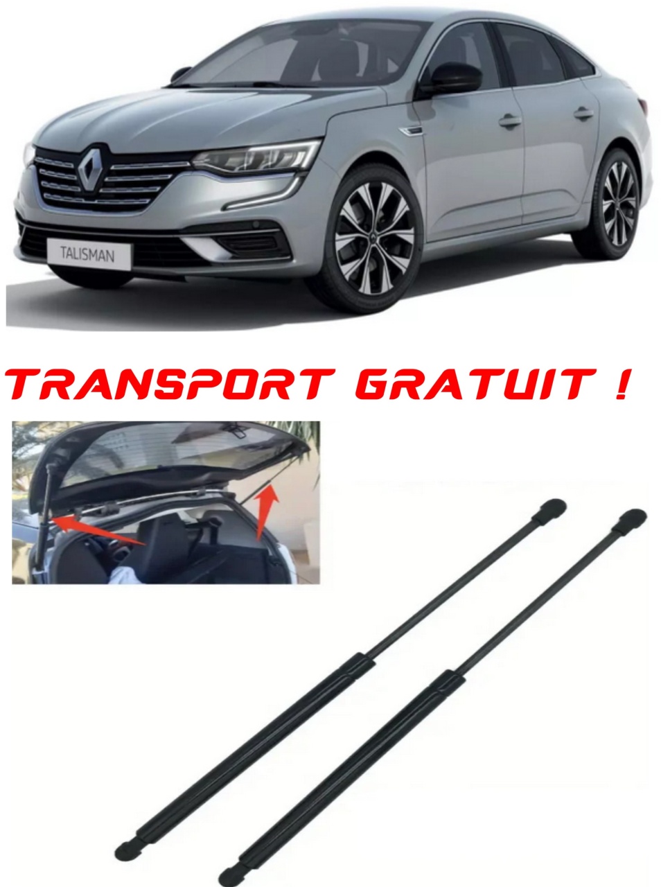 Set 2 amortizoare Haion portbagaj pentru masina Renault TALISMAN (LP_)