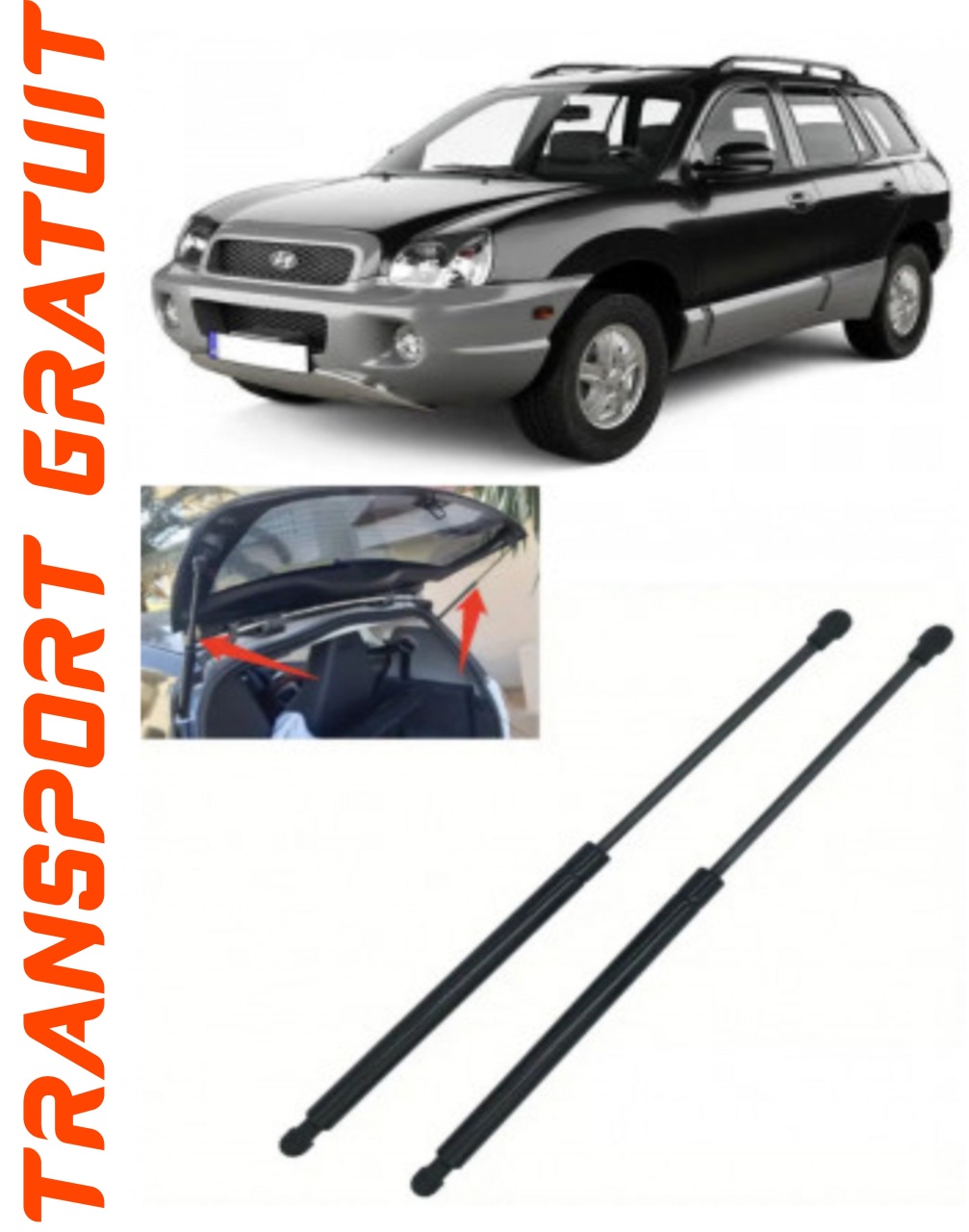 Set 2 amortizoare Haion portbagaj pentru masina Hyundai Santa Fe