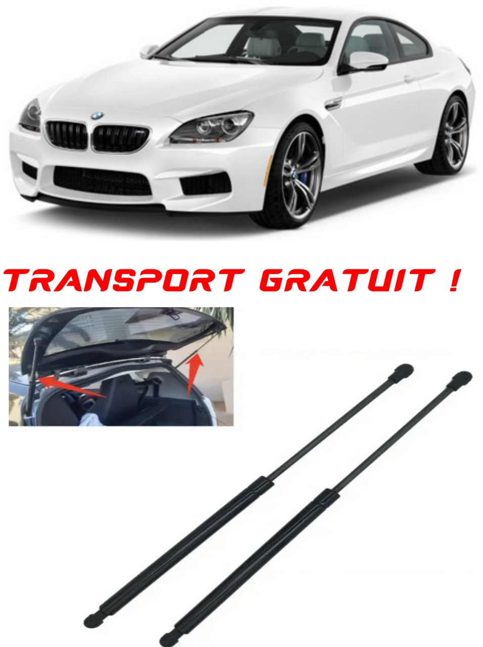 Set 2 amortizoare Haion portbagaj pentru masina BMW 6 Coupe (F13)