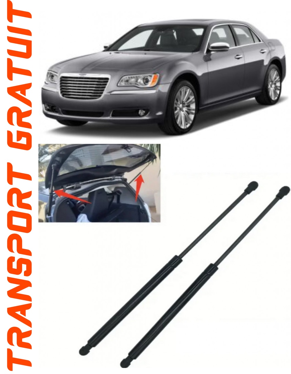 Set 2 amortizoare Haion portbagaj pentru masina Chrysler 300C