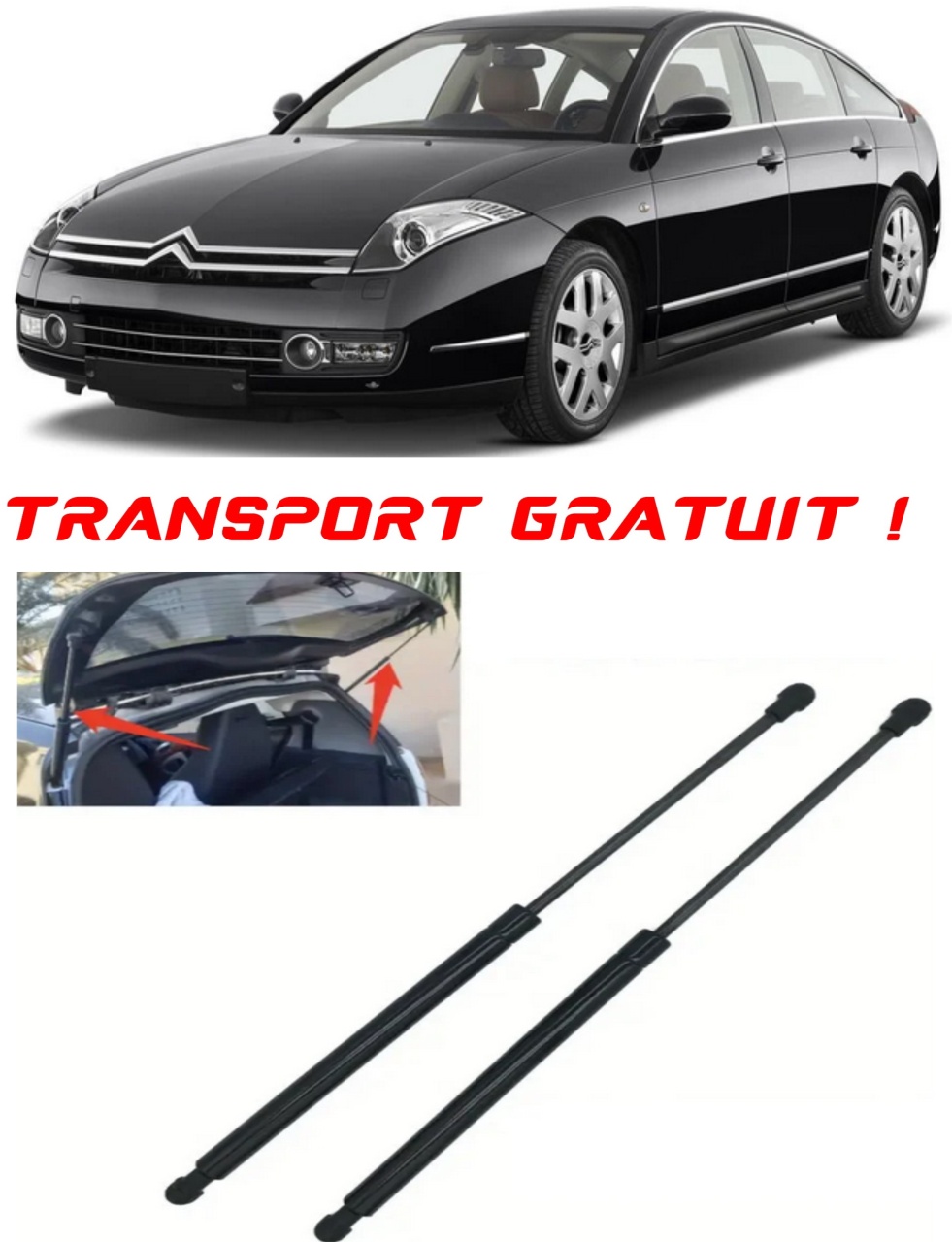 Set 2 amortizoare Haion portbagaj pentru masina Citroen C6 (TD_)