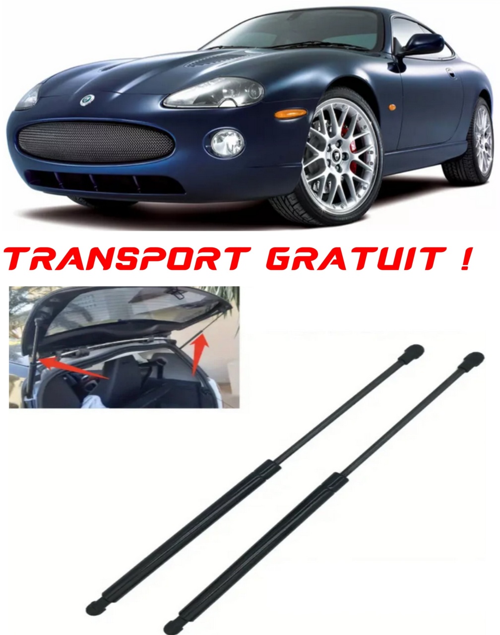 Set 2 amortizoare Haion portbagaj pentru masina Jaguar XK 8 Coupe (X100)