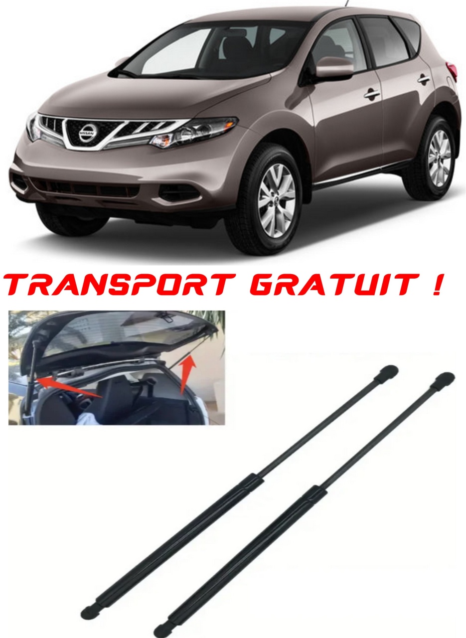 Set 2 amortizoare Haion portbagaj pentru masina Nissan MURANO II (Z51)