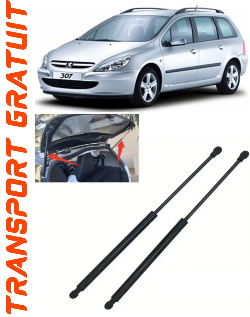 Set 2 amortizoare Haion portbagaj pentru masina Peugeot 307