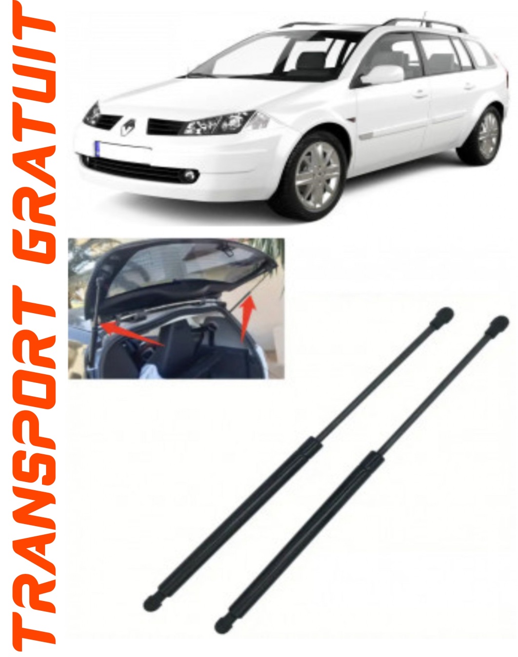 Set 2 amortizoare Haion portbagaj pentru masina Renault Megane