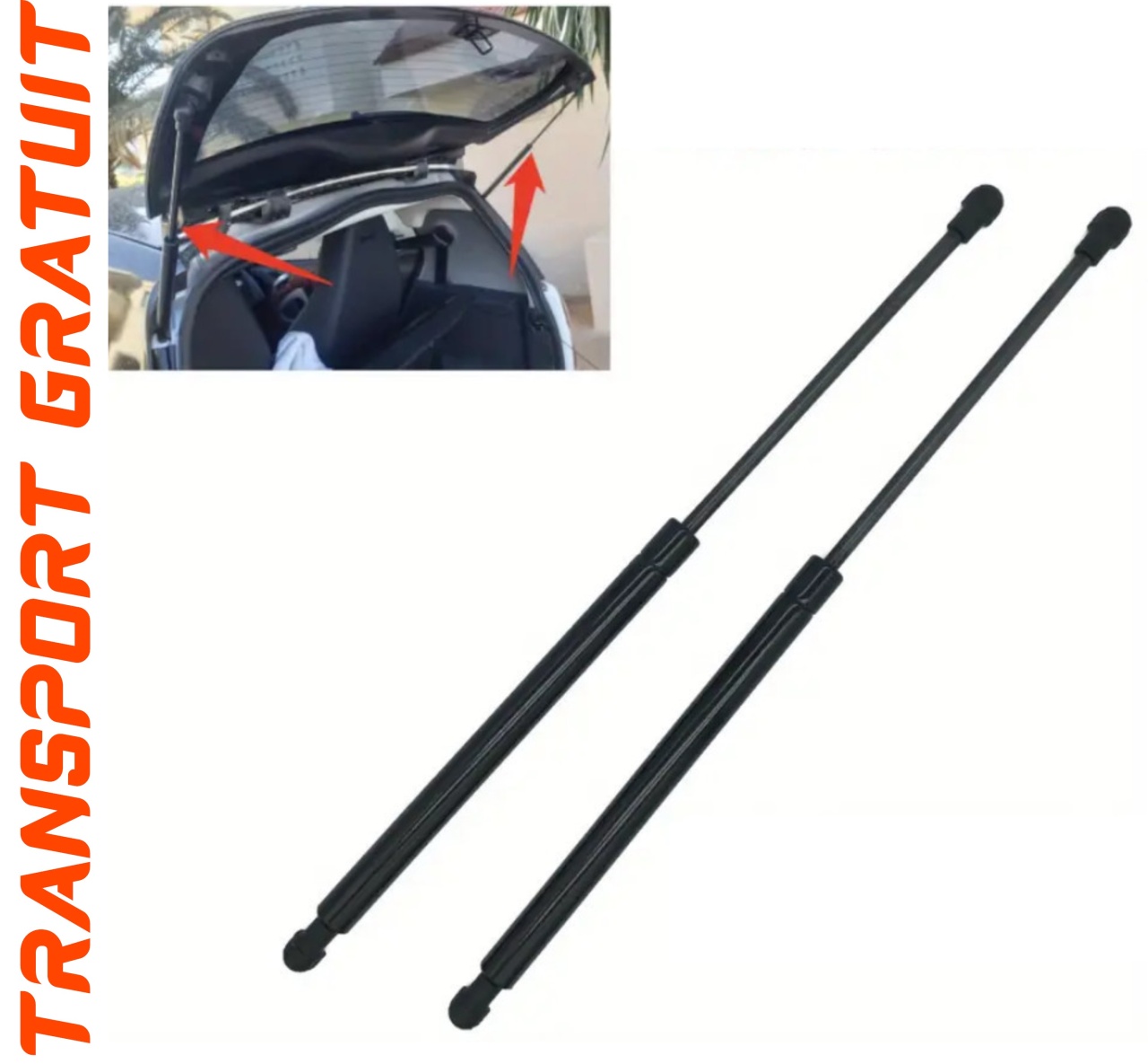 Set 2 amortizoare Haion portbagaj pentru masina Daf 75 CF