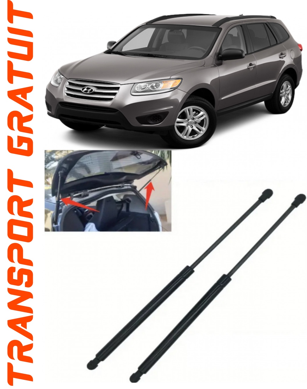 Set 2 amortizoare Haion portbagaj pentru masina Hyundai Santa FE III