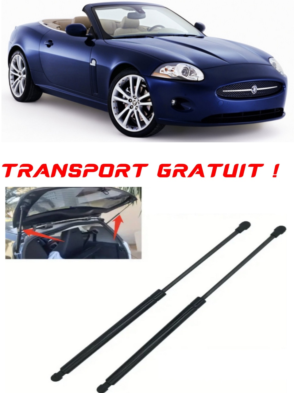 Set 2 amortizoare Haion portbagaj pentru masina Jaguar XK II Convertible (X150)
