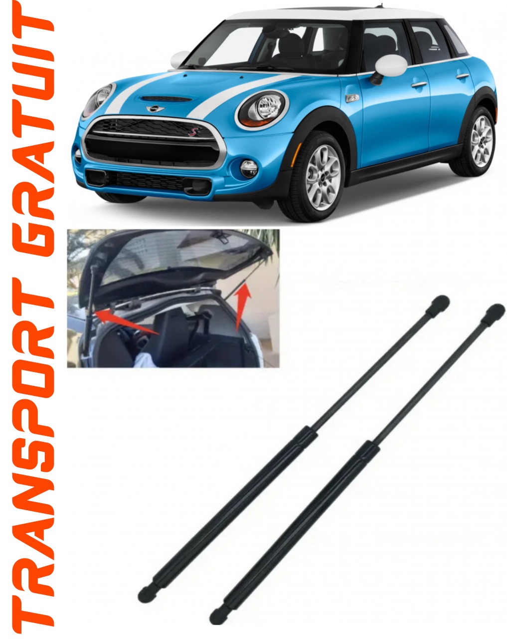 Set 2 amortizoare Haion portbagaj pentru masina MINI Mini