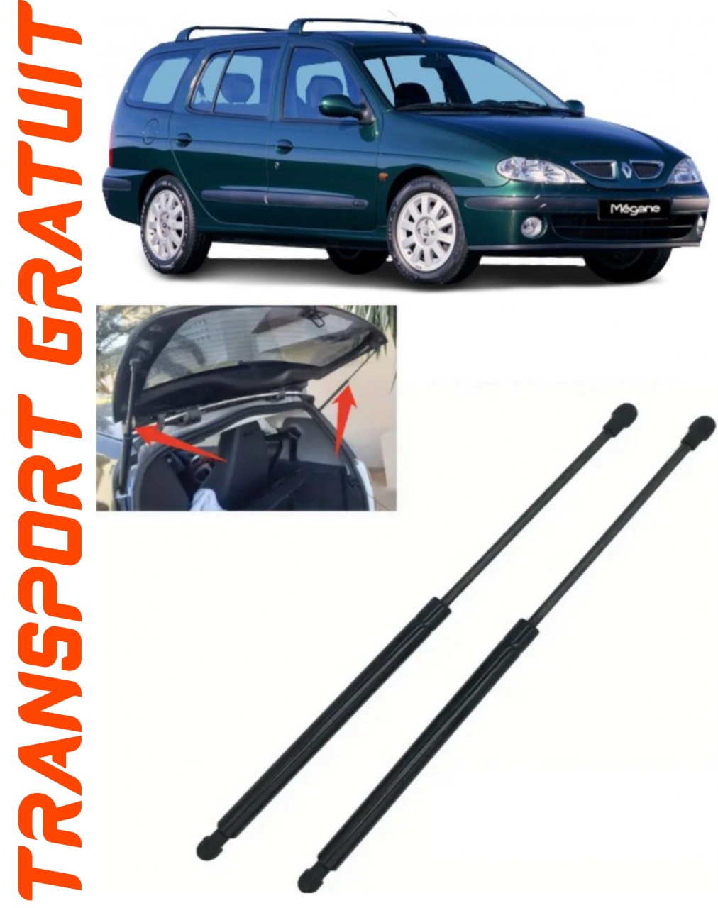 Set 2 amortizoare Haion portbagaj pentru masina Renault Megane I