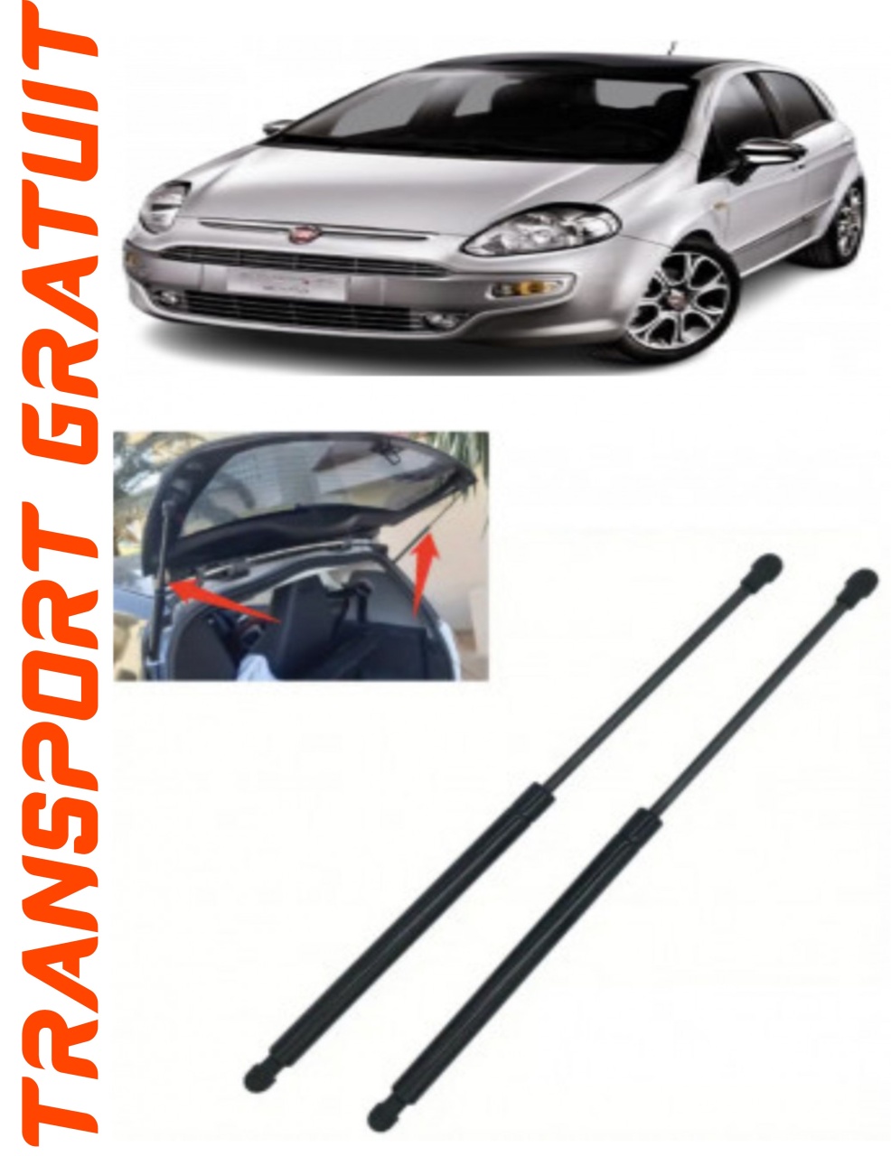 Set 2 amortizoare Haion portbagaj pentru masina Fiat Punto Evo