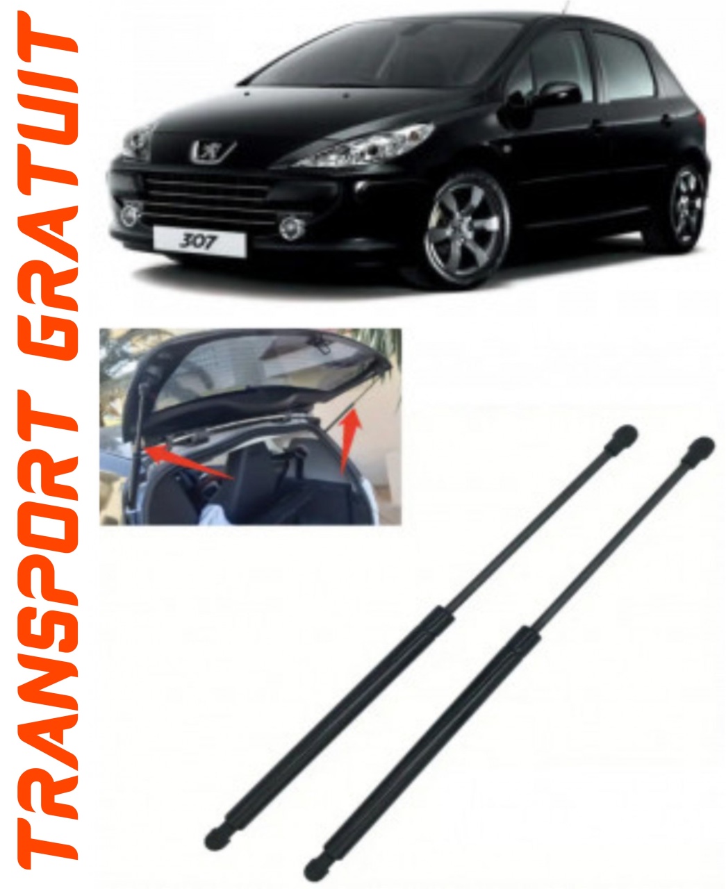 Set 2 amortizoare Haion portbagaj pentru masina Peugeot 307