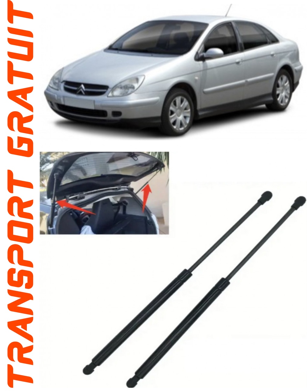 Set 2 amortizoare Haion portbagaj pentru masina Citroen C5 I
