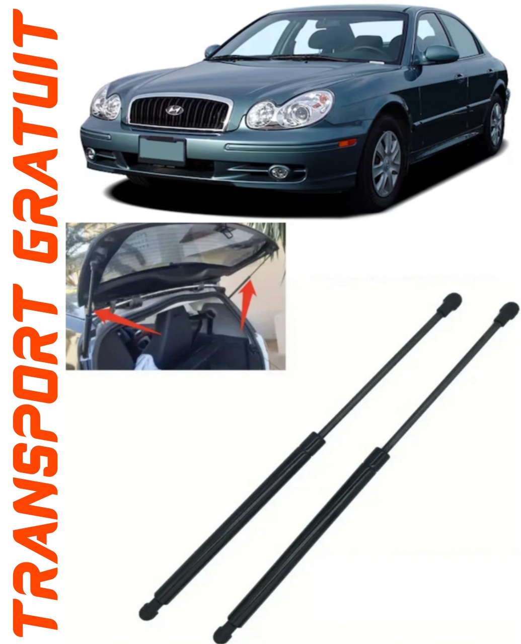 Set 2 amortizoare Haion portbagaj pentru masina Hyundai Sonata