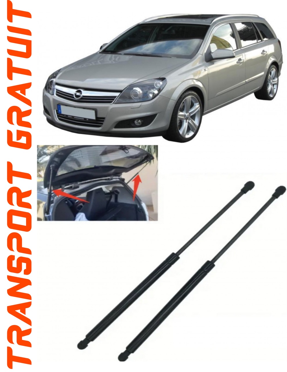 Set 2 amortizoare Haion portbagaj pentru masina Opel Astra H GTC