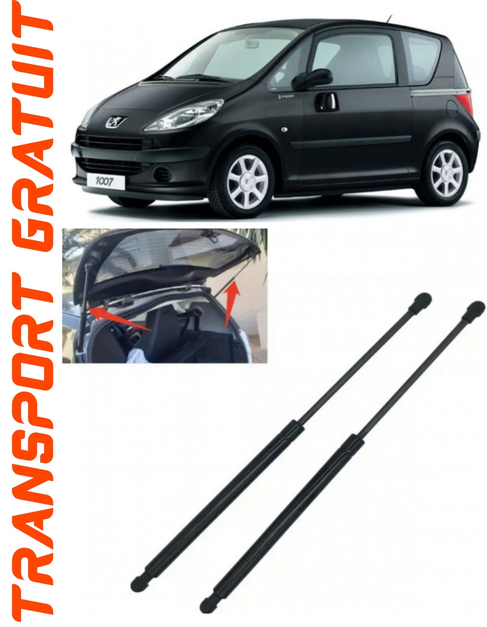 Set 2 amortizoare Haion portbagaj pentru masina Peugeot 1007