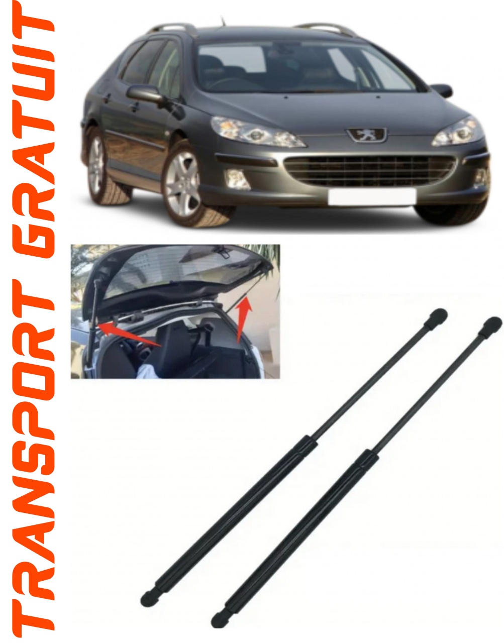 Set 2 amortizoare Haion portbagaj pentru masina Peugeot 407