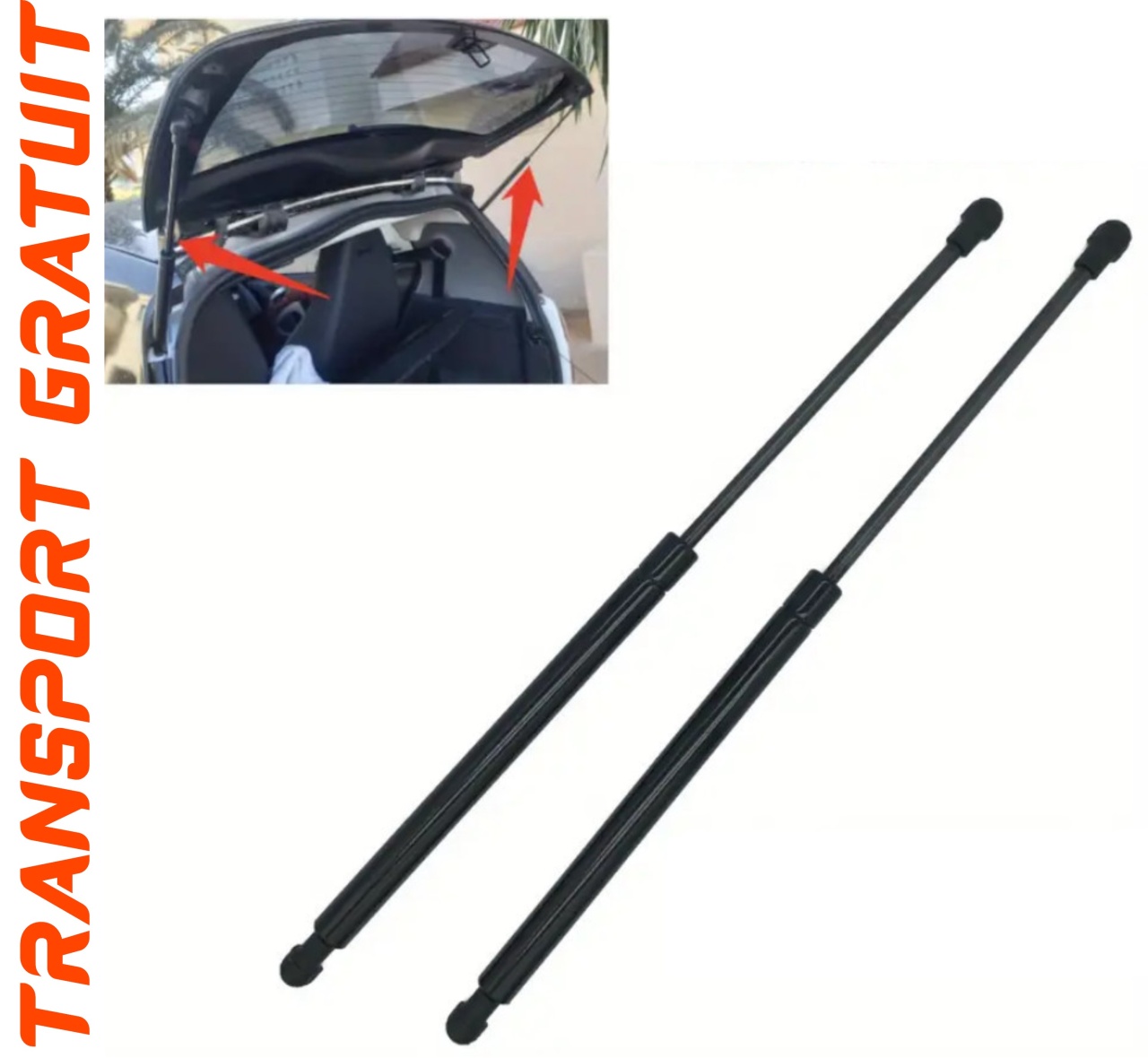 Set 2 amortizoare Haion portbagaj pentru masina Renault Trucks Kerax