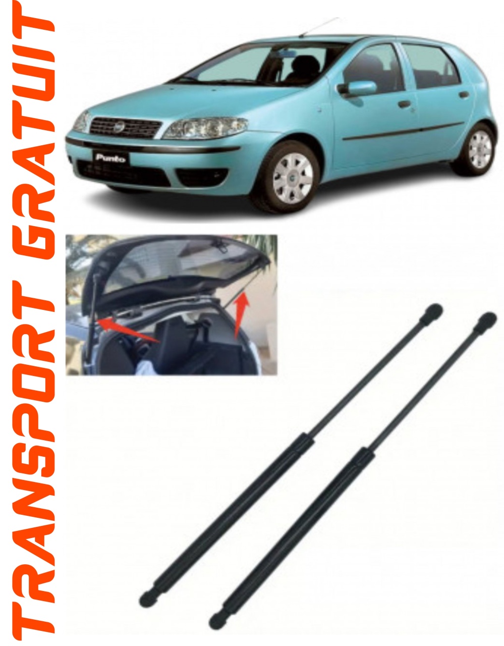 Set 2 amortizoare Haion portbagaj pentru masina Fiat Punto