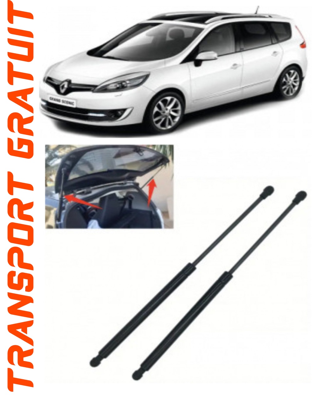 Set 2 amortizoare Haion portbagaj pentru masina Renault Grand Scenic