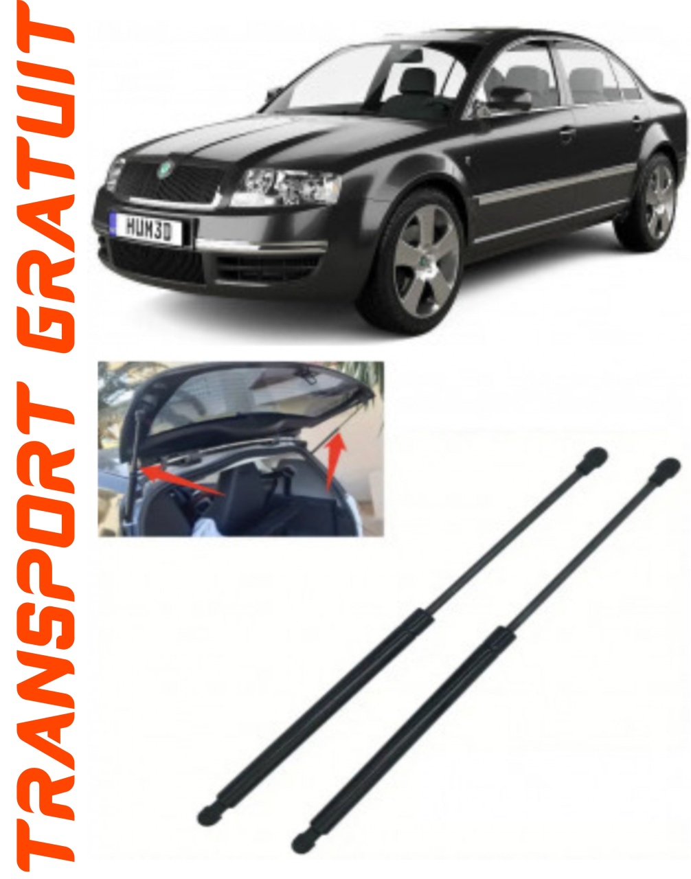 Set 2 amortizoare Haion portbagaj pentru masina SKODA Superb