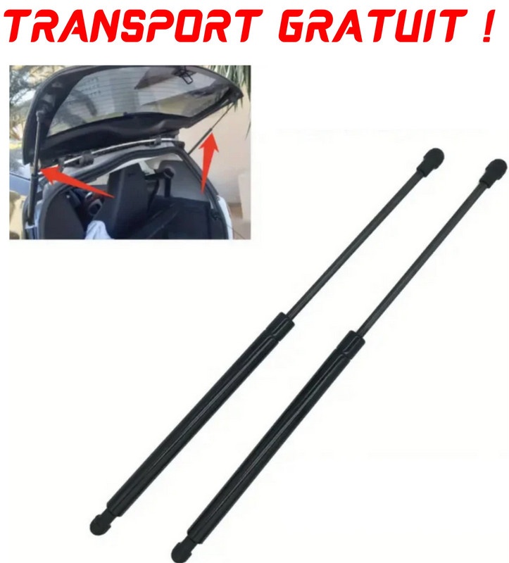 Set 2 amortizoare Haion portbagaj pentru masina Ssangyong Kyron