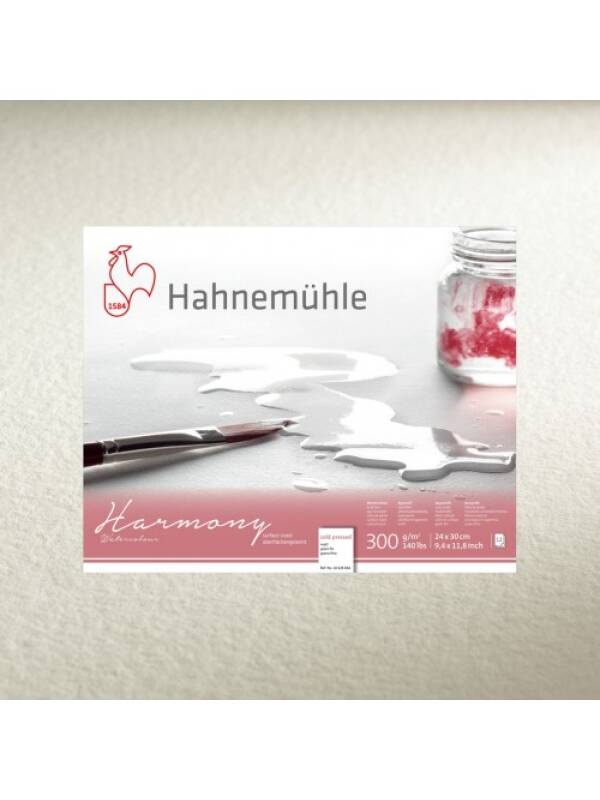 Bloc acuarela cu spira 300gmp Harmony Hahnemuhle Satine (Marime: A4 (21 x 29.7cm))