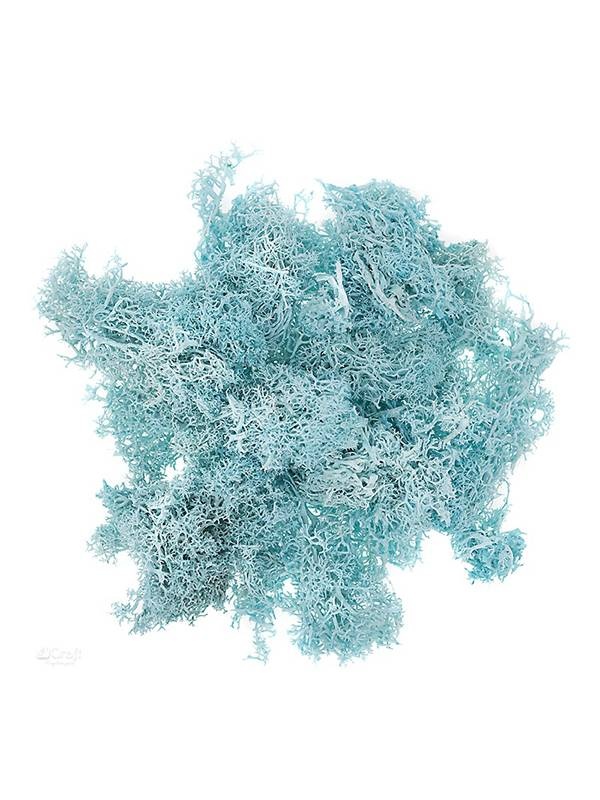 Muschi colorat 30g Dp Craft (Culoare: alb)