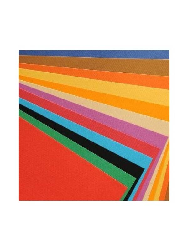 Hartie Canson Mi-Teintes A3 (Culoare: Ivy 448)