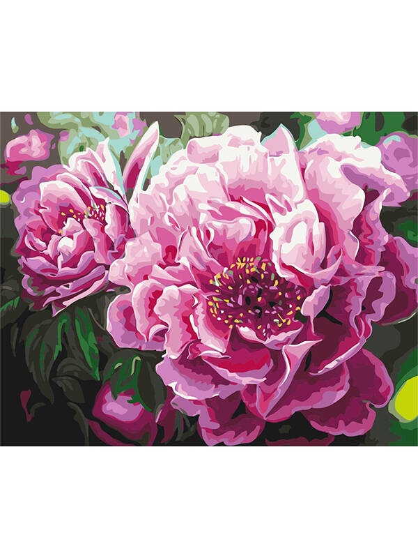 Kit pictura pe numere Luxurious Peony 4667