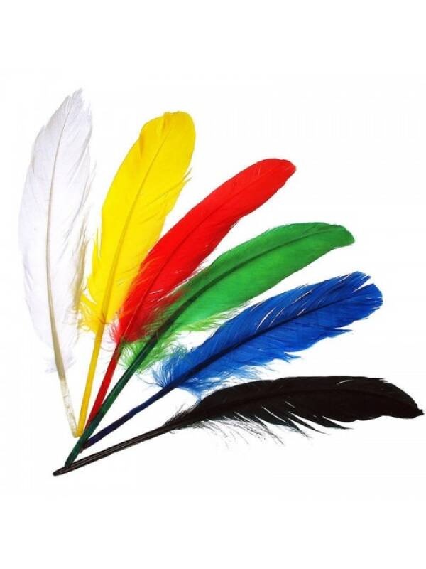 Pene Indian Meyco (Marime - Nr. bucati: 14cm, 20 bucati)