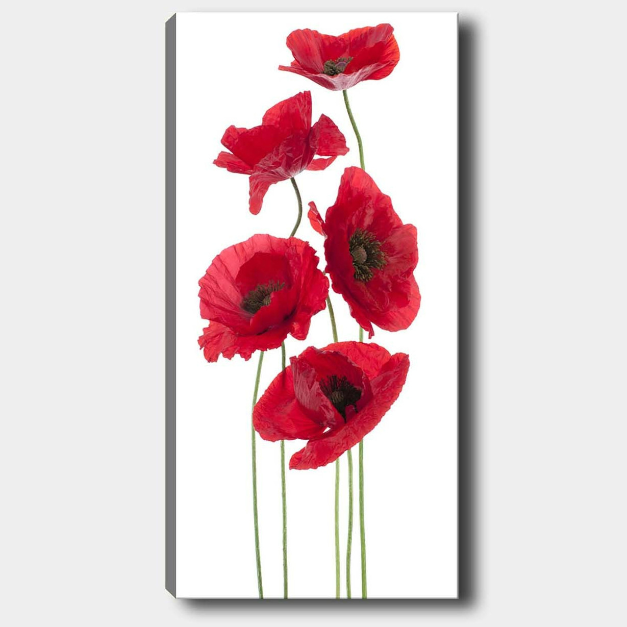 Tablou multicolor din fibre naturale 50x120 cm Flowers The Home Collection