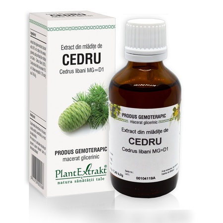 Extract din mladite de Cedru, 50 ml, Plant Extrakt