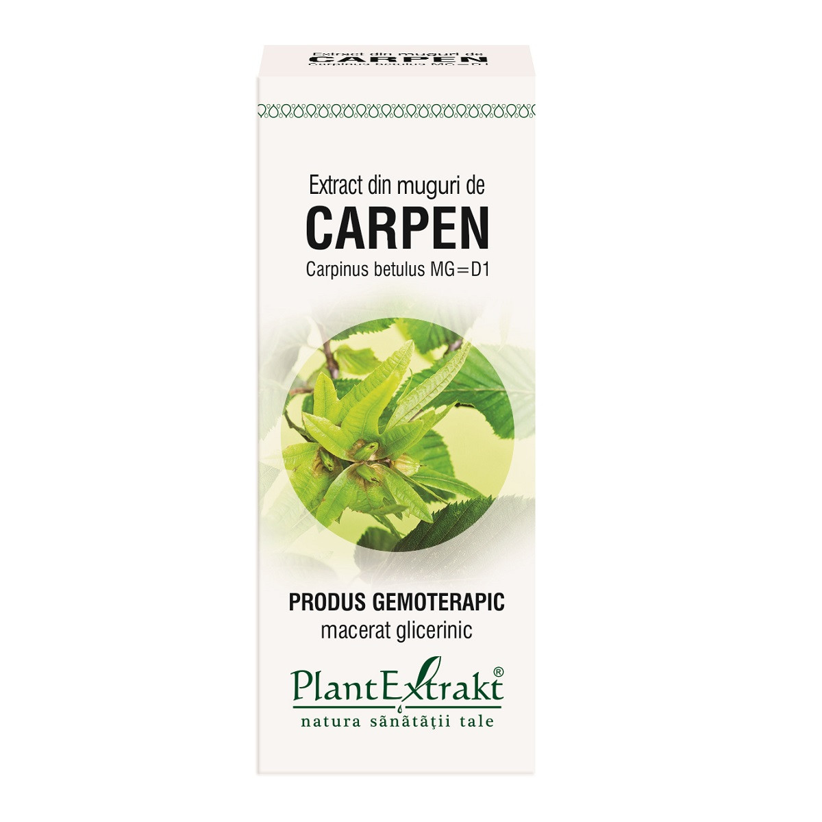 Extract muguri carpen x 50ml (plx)