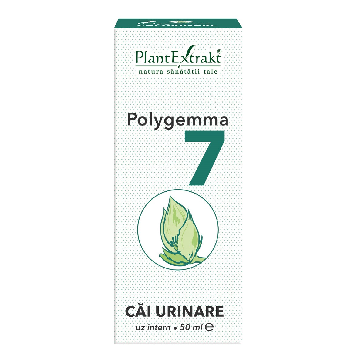 Polygemma 7, cai urinare, 50 ml, plant extrakt