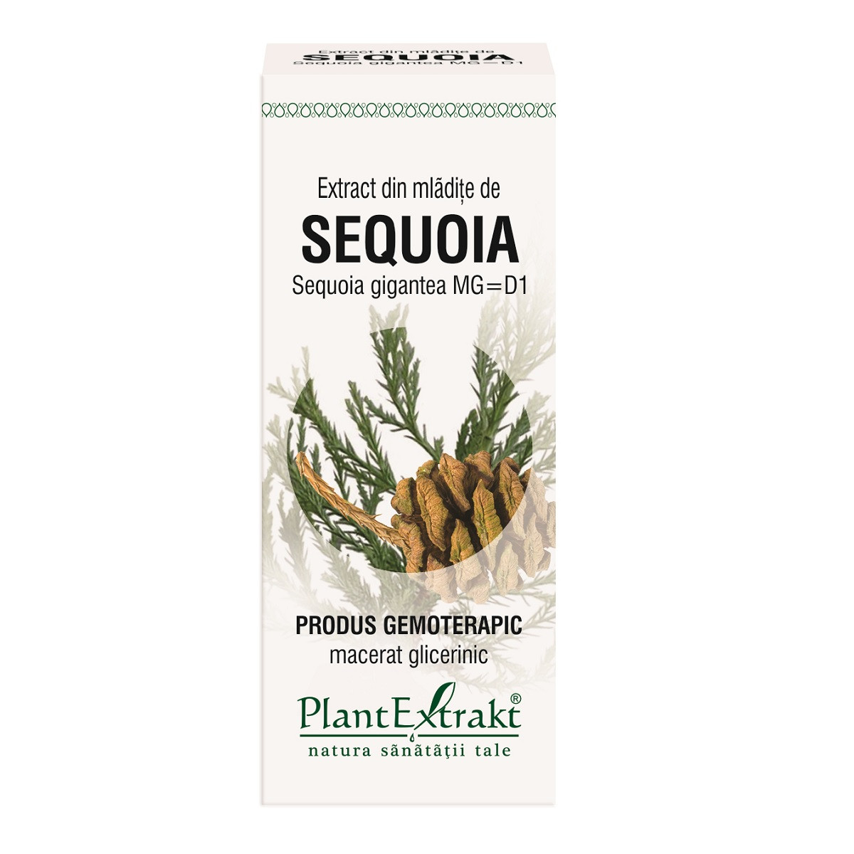 Extract mladite sequoia x 50ml (plx)