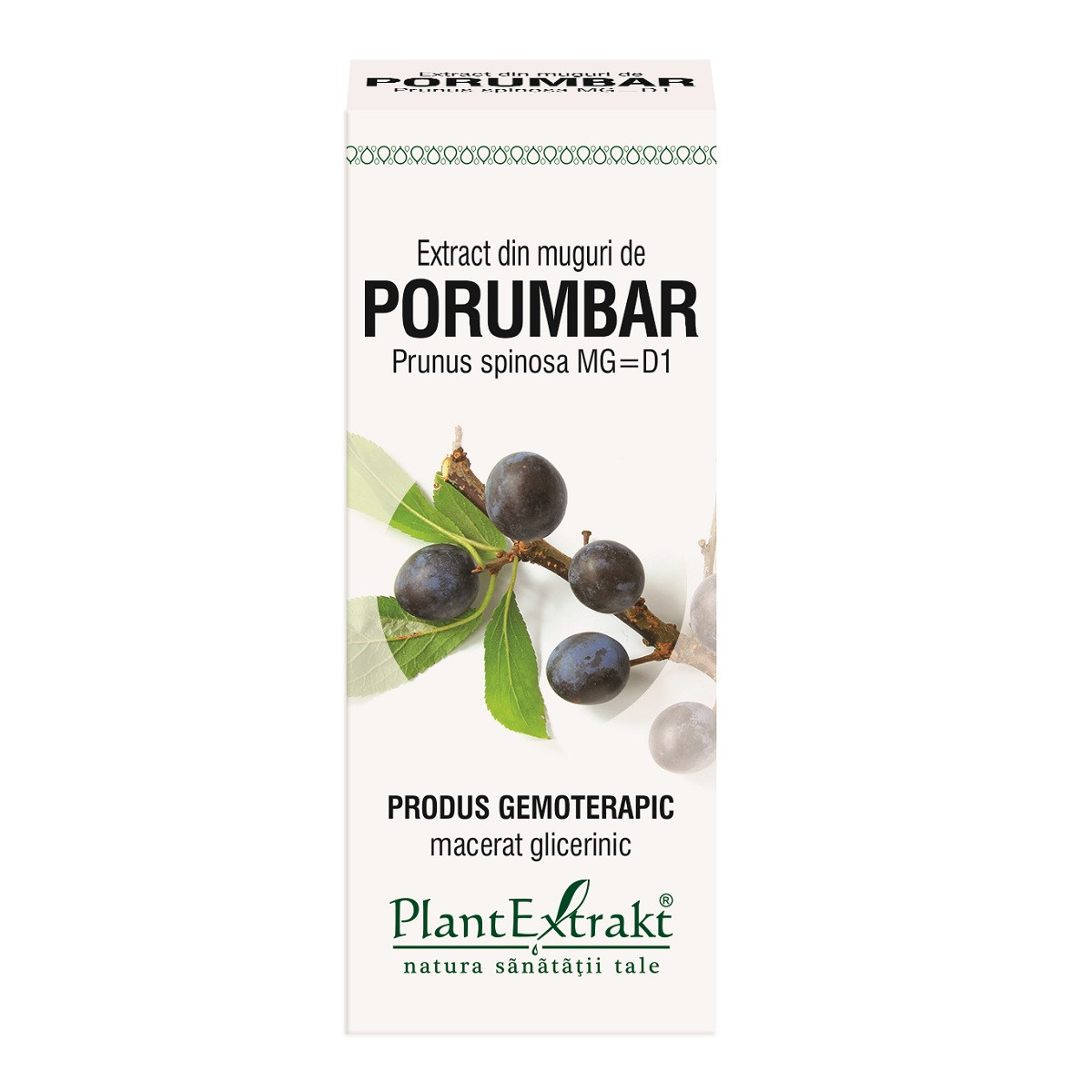 Extract muguri porumbar x 50ml (plx)