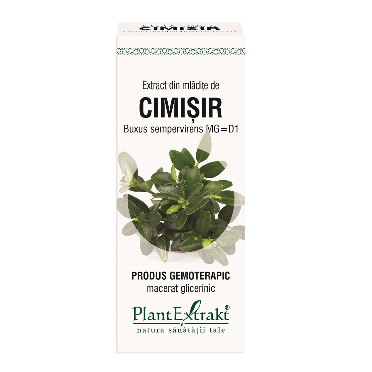 Extract mladite cimisir x 50ml (plx)