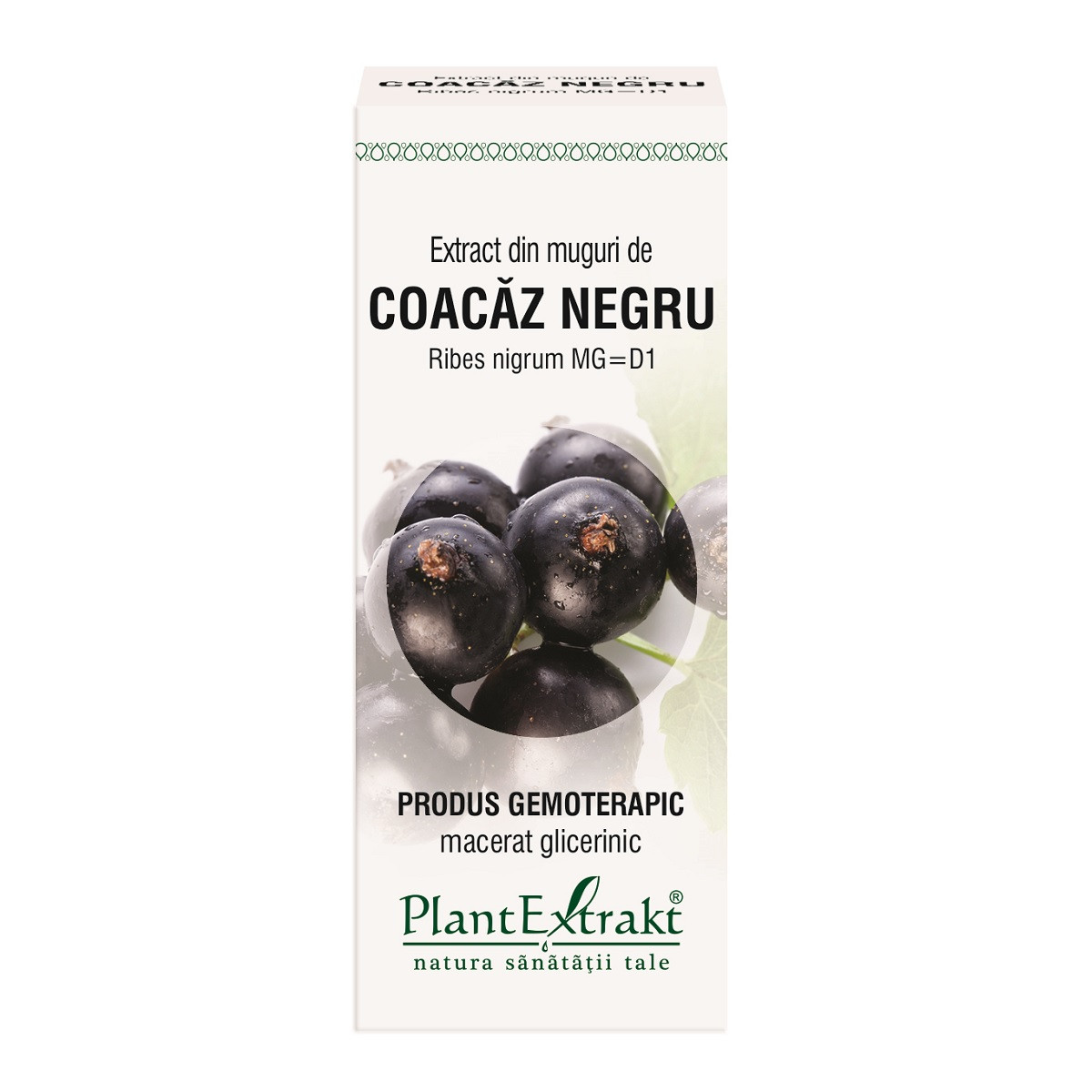 Extract muguri coacaz negru x 50ml (plx)