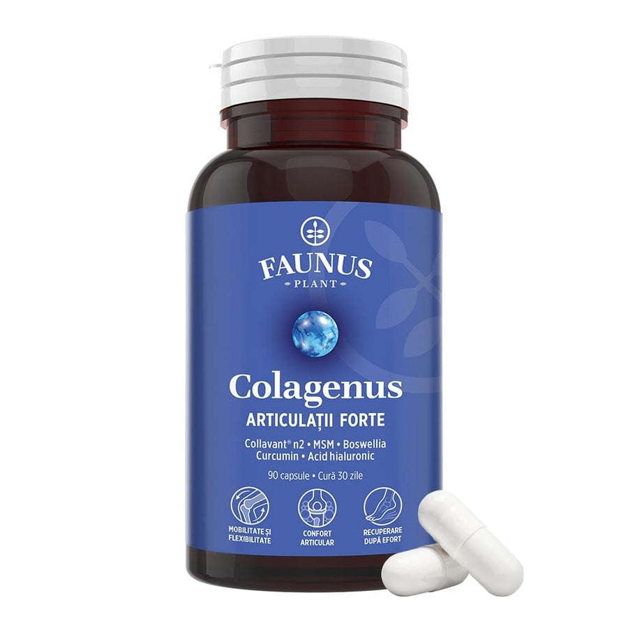 Faunus Colagenus Articulatii Forte capsule cu colagen tip II nativ, 90 capsule