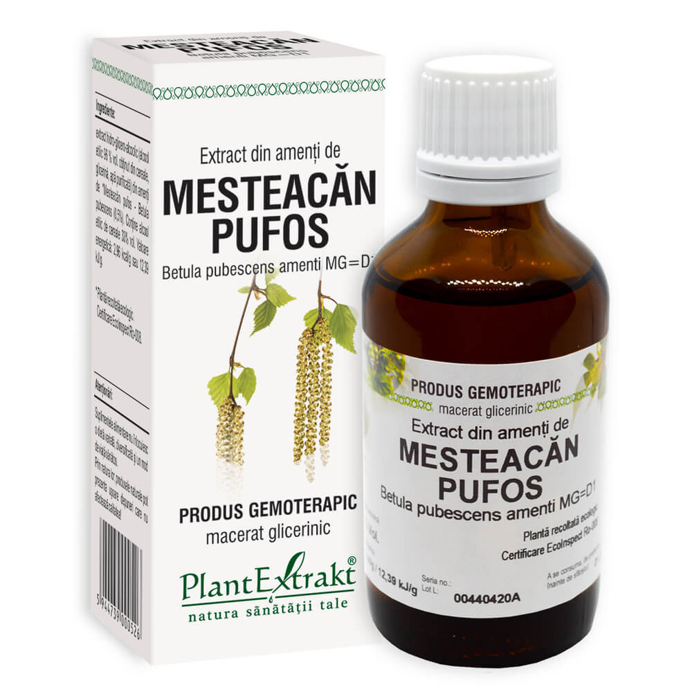 Extract amenti mesteacan puf. 50 ml (plx)