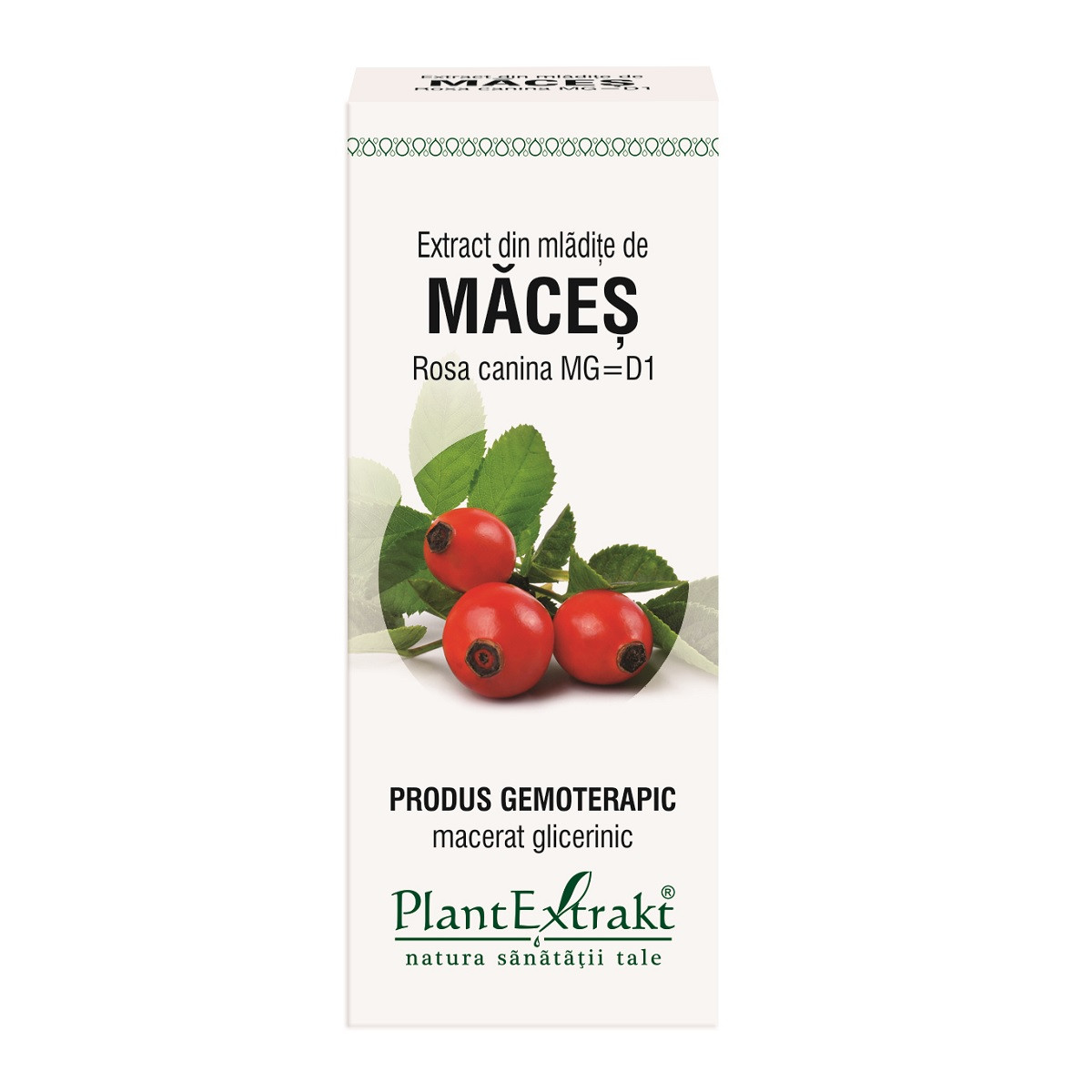 Extract mladite maces x 50ml (plx)